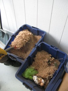 compost