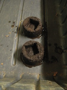 Sample Blocks