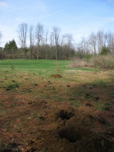 post holes easter border