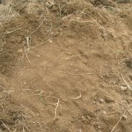 mound
