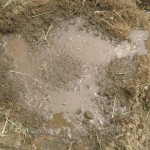 water