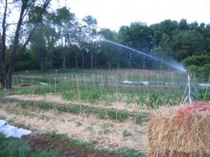 sprinkler