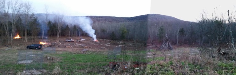 Our new view and expanded orchard