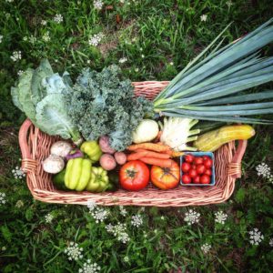 organic vegetables ny