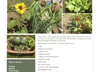 Fresh Vegetables Pawling NY