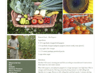 Fresh Vegetables Pawling NY