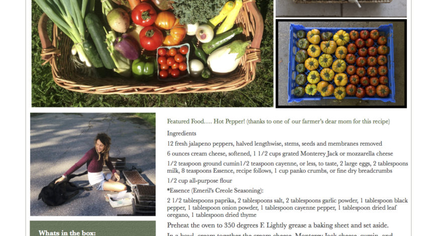 Fresh Vegetables Pawling NY