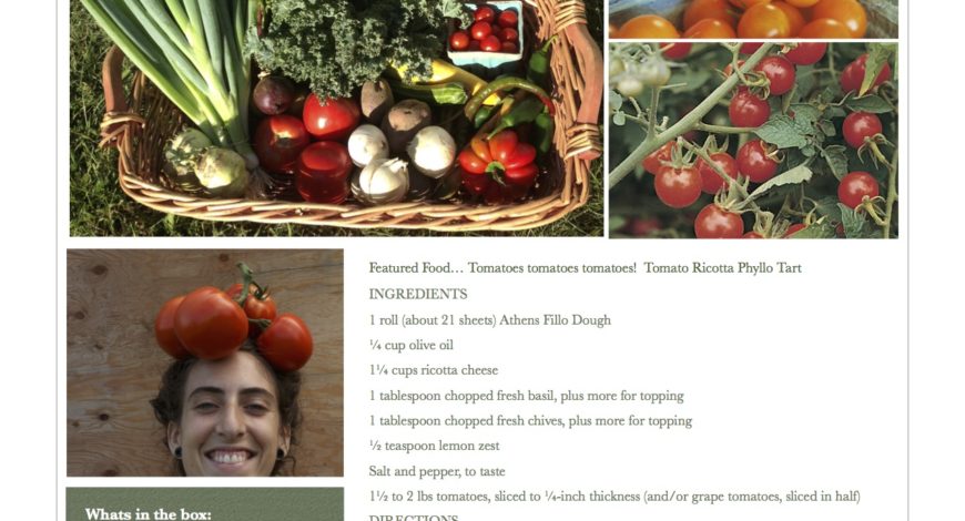 Fresh Vegetables Pawling NY