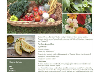 Fresh Vegetables Pawling NY