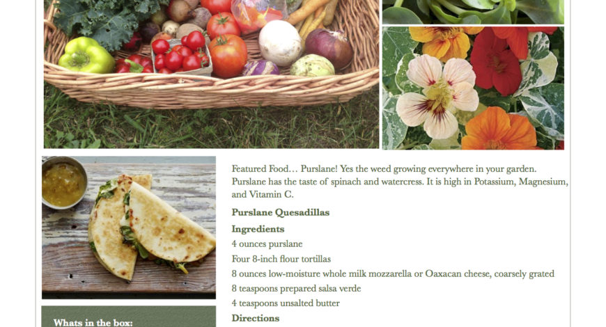 Fresh Vegetables Pawling NY