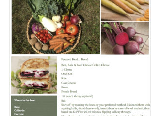 Fresh Vegetables Pawling NY