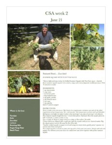 Fresh Vegetables Pawling NY