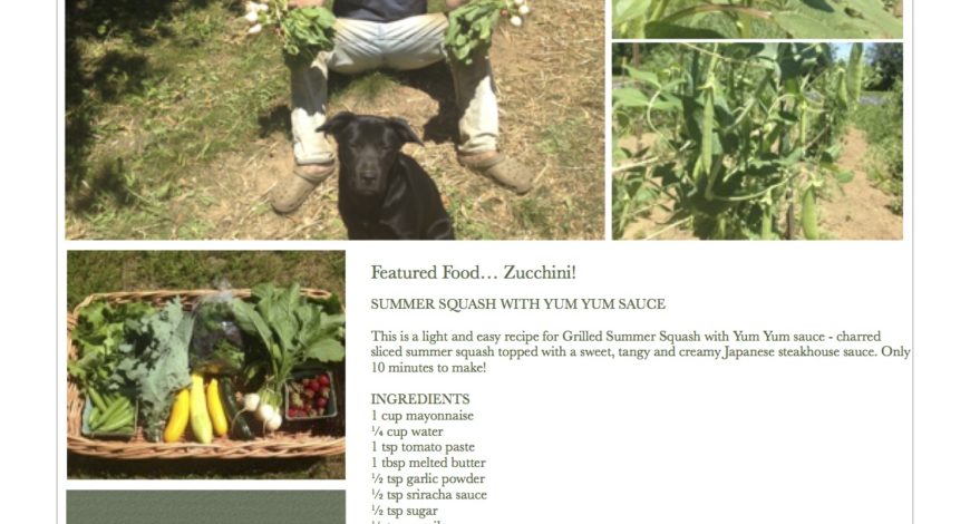 Fresh Vegetables Pawling NY