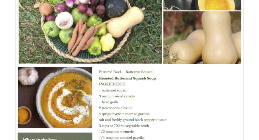 Fresh Vegetables Pawling NY