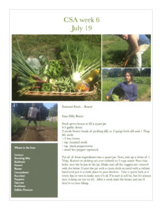 Fresh Vegetables Pawling NY