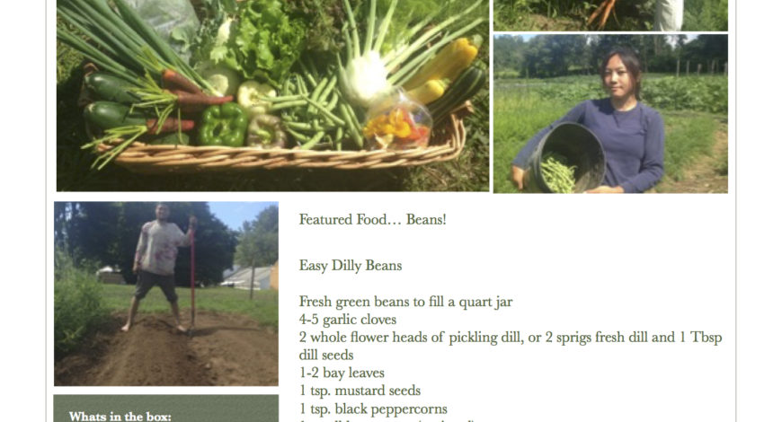 Fresh Vegetables Pawling NY