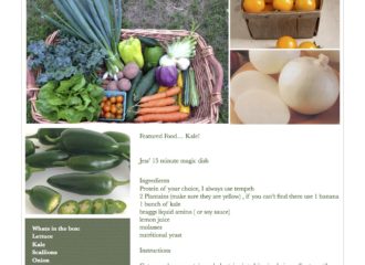 Fresh Vegetables Pawling NY