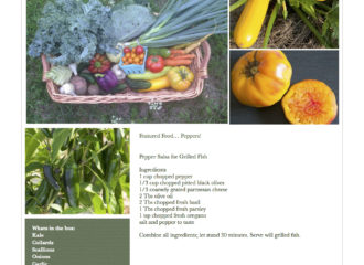 Fresh Vegetables Pawling NY