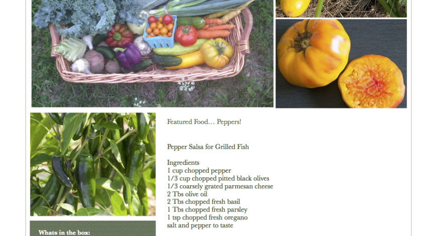 Fresh Vegetables Pawling NY