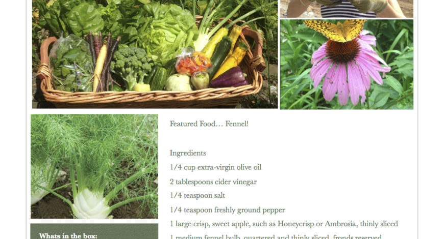 Fresh Vegetables Pawling NY