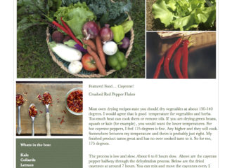 Fresh Vegetables Pawling NY