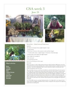 Fresh Vegetables Pawling NY