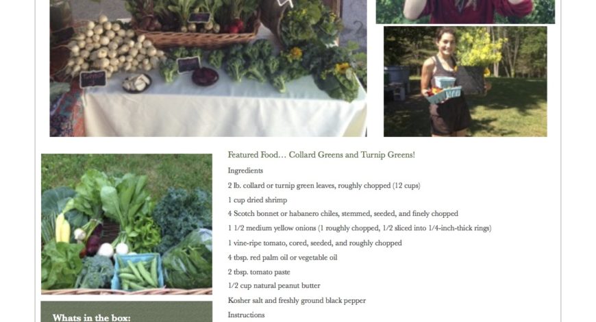 Fresh Vegetables Pawling NY