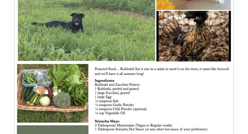 Fresh Vegetables Pawling NY