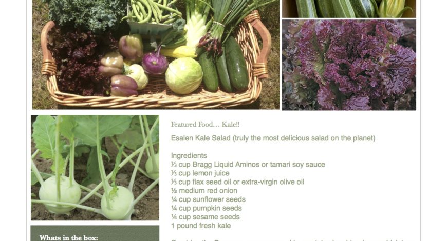 Fresh Vegetables Pawling NY